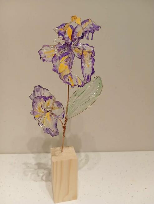 Ładne kwiaty wieczne