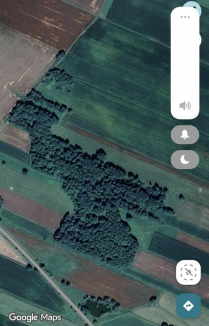 Działka leśna Krypno Kościelne Podlaskie