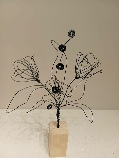 Ładne kwiaty wieczne