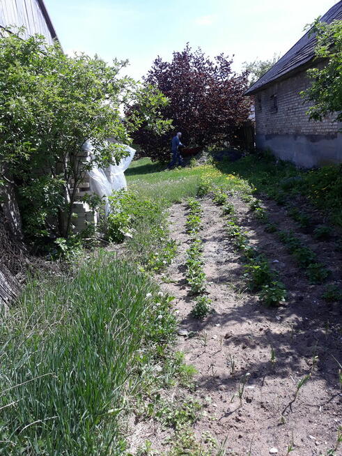 działka Augustowo na Brańskiej