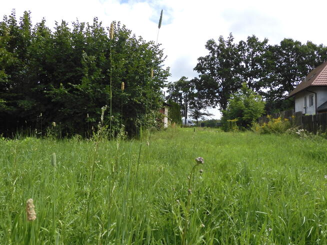 ✅Inwestuj w przyszłość już dziś!✅