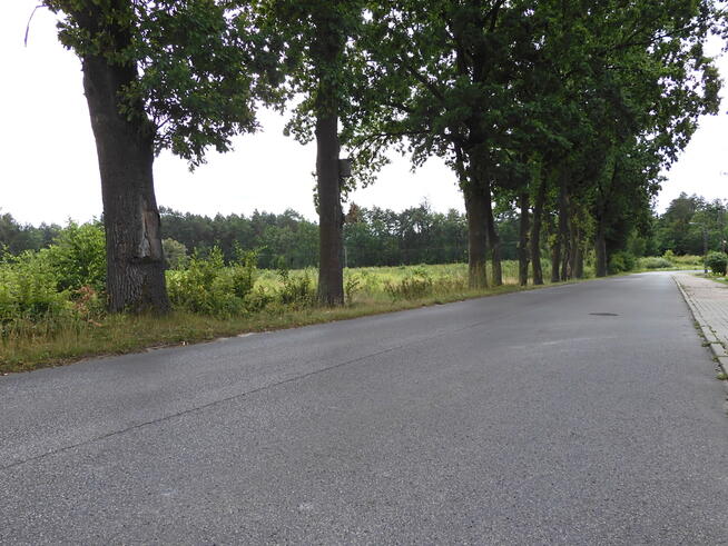 ✅Inwestuj w przyszłość już dziś!✅