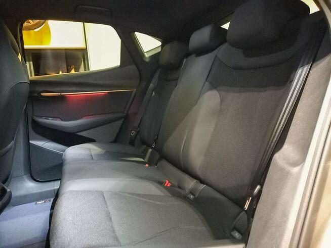 Cupra Tavascan 286KM! Endurance!