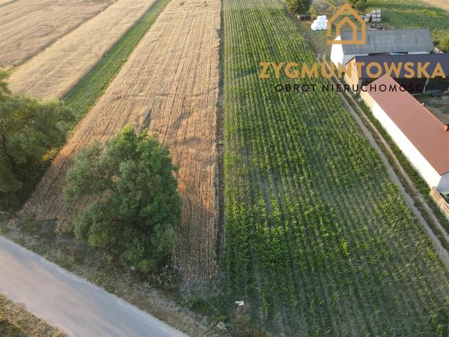 Działka Rusinów Wola Gałecka