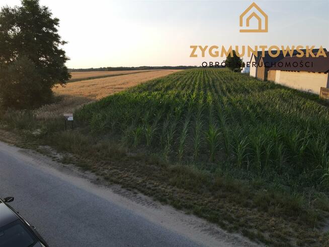 Działka Rusinów Wola Gałecka