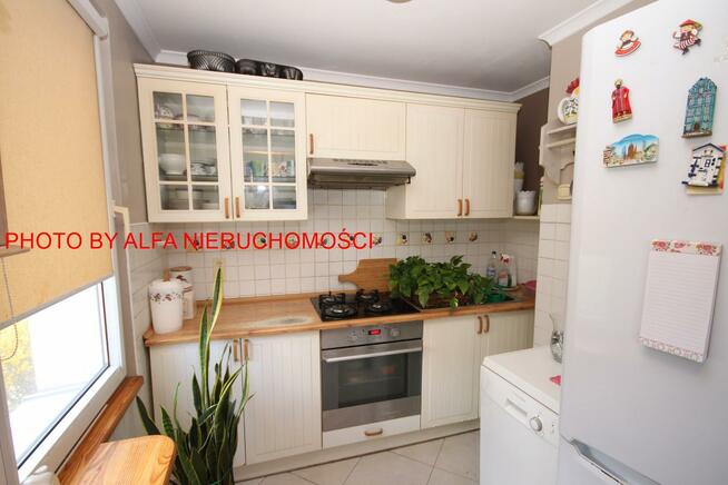 Mieszkanie Świdnica, Jałowcowa