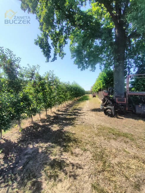 Lokal użytkowy Aleksandria gm. Puszcza Mariańska,