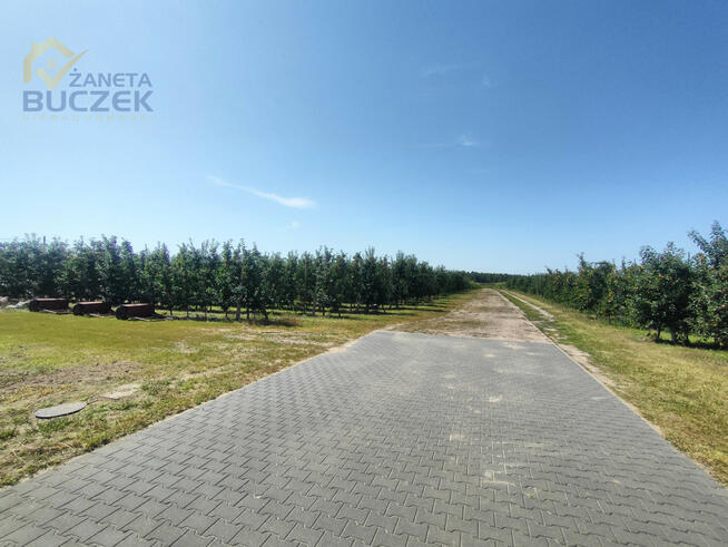 Lokal użytkowy Aleksandria gm. Puszcza Mariańska,