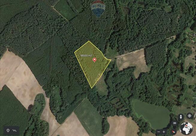 Działka z linią brzegową jeziora.