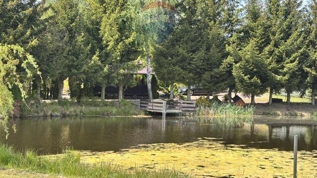 Dom w lesie na pięknej działce za Kościerzyną