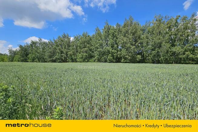 Sprzedam, kompleks działek gm. Lesznowola