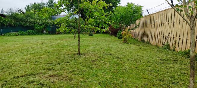 Przeniesienie praw do działki ROD