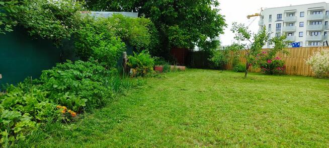 Przeniesienie praw do działki ROD