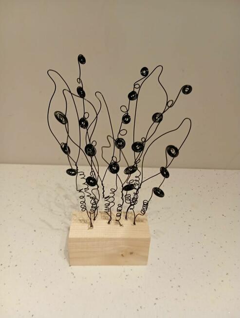 Ładne kwiaty wieczne