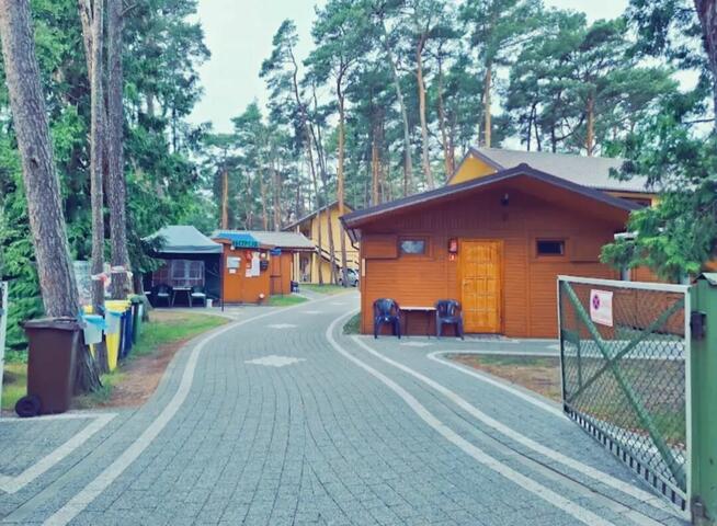 Wynajem domków