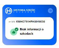 elektryczny Hyundai IONIQ bateria ok 98% nowej super auto