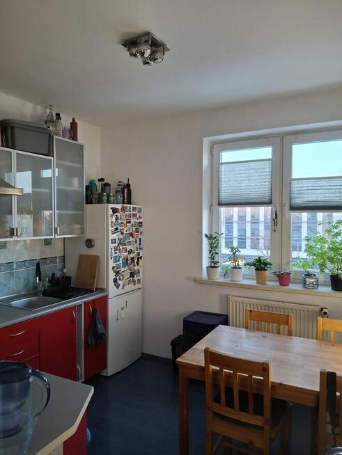 50-metrowe, Bartkiewiczówny, Toruń