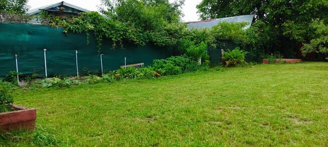 Przeniesienie praw do działki ROD