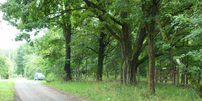 Piękna działka z wydanymi warunkami zabudowy