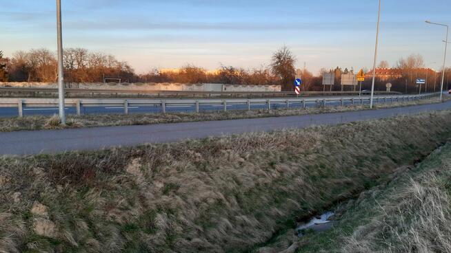 Wynajme działkę !2ar. w Legnicy przy ul Chojnowskiej ogrodzo