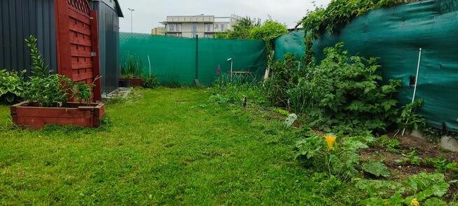 Przeniesienie praw do działki ROD