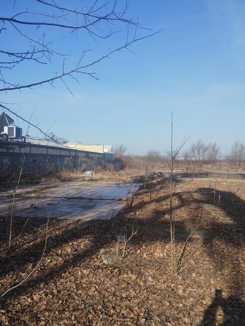 Dzierżawa działki Świętochłowice - bez pośredników