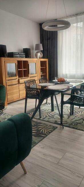 Wynajmę 2 pokoje + kuchnia + hol w Centrum Sosnowca