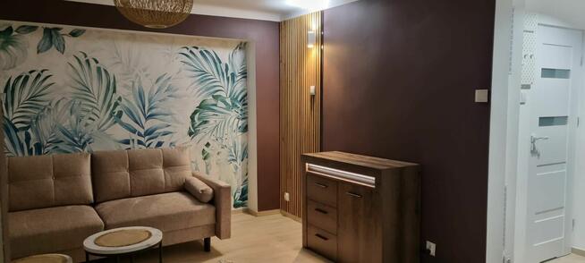 Wynajmę kawalerkę na Olszy