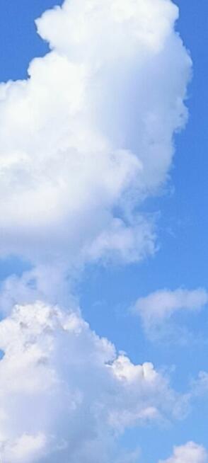 Poznam Pana plus size, w moim wieku, wolnego, z Lubelszczyzny