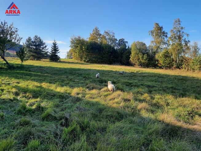 Dom Przyszowa gm. Łukowica