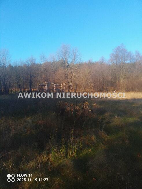 Działka siedliskowa Młodzieszyn Marysin