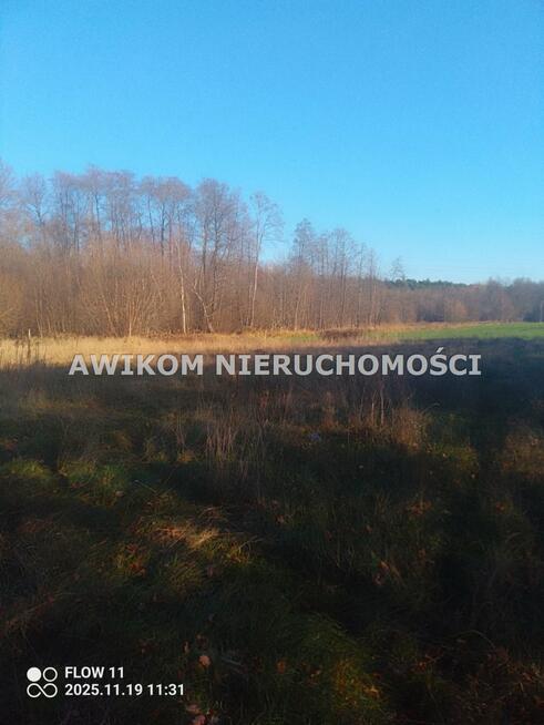 Działka siedliskowa Młodzieszyn Marysin