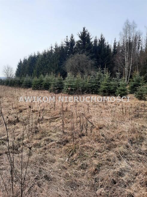 Działka usługowa Powązki gm. Mszczonów