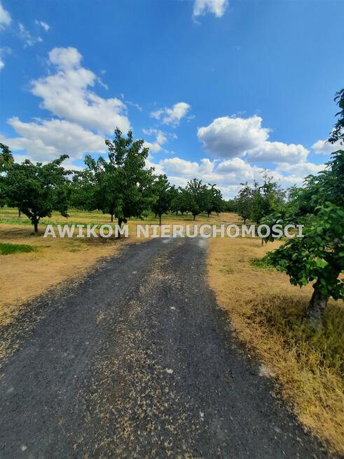 Działka siedliskowa Kornelówka gm. Pniewy