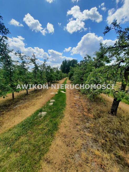 Działka siedliskowa Kornelówka gm. Pniewy