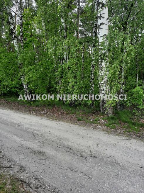 Działka siedliskowa Kornelówka gm. Pniewy