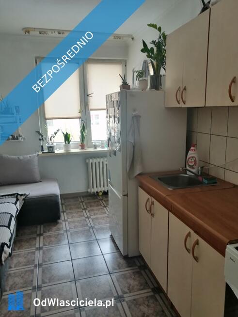 Mieszkanie na wynajem - dostępne od marca