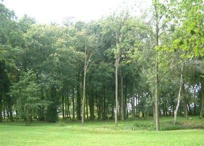 Dom Jelitowo gm. Niechanowo