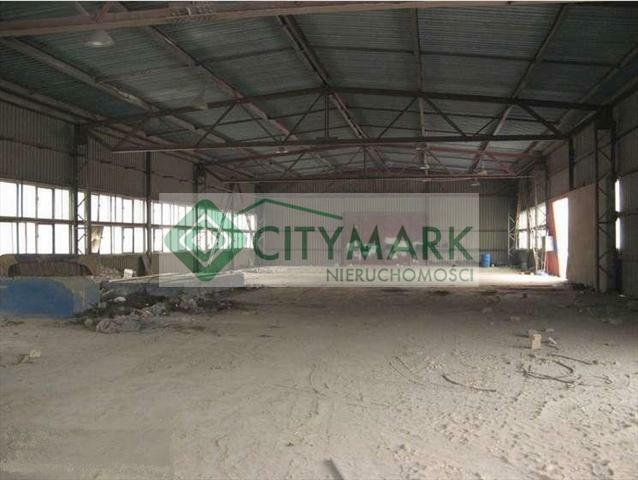 Lokal użytkowy Szydłowiec, -----------------------------