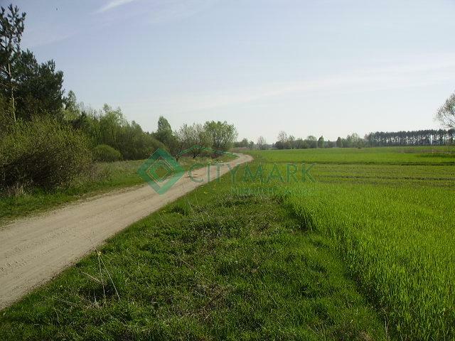 Działka leśna Stary Gózd gm. Stara Błotnica