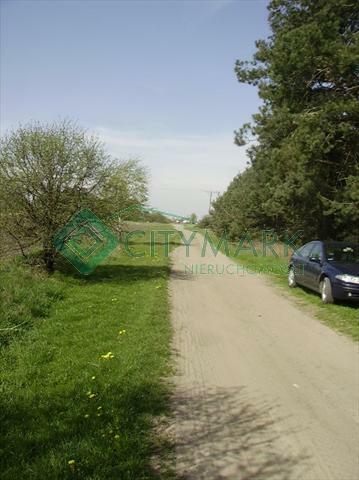 Działka leśna Stary Gózd gm. Stara Błotnica