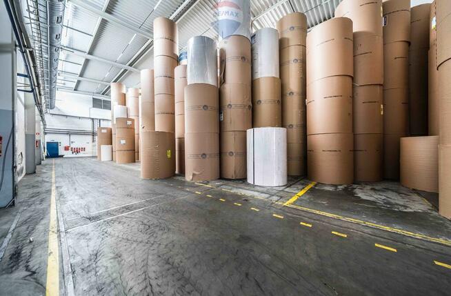 Hala Magazyn Produkcja Tarnowo Podgórne