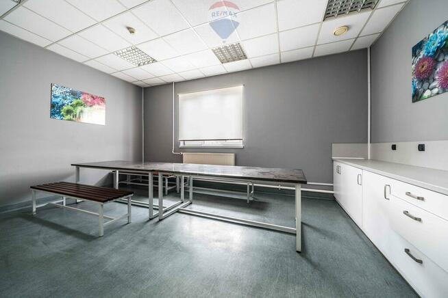 Hala Magazyn Produkcja Tarnowo Podgórne