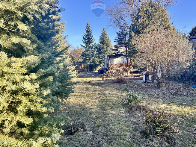 Działka ROD przy ul. Bukowskiej