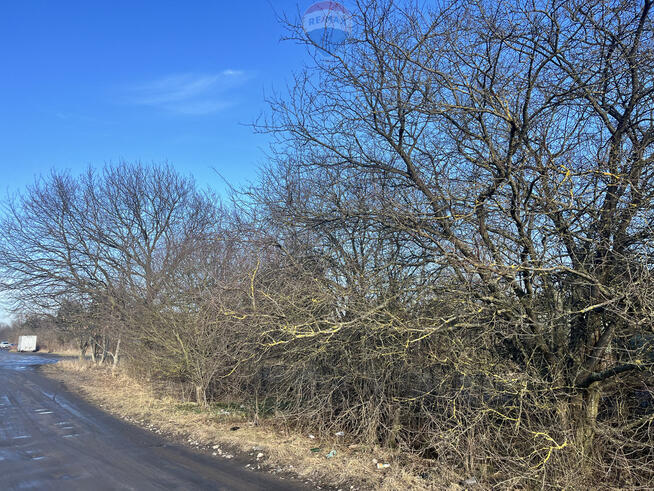 Działka ROD przy ul. Bukowskiej