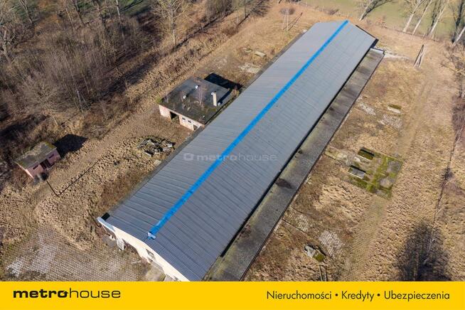 Nieruchomość inwestycyjna w Dłużynie Dolnej!