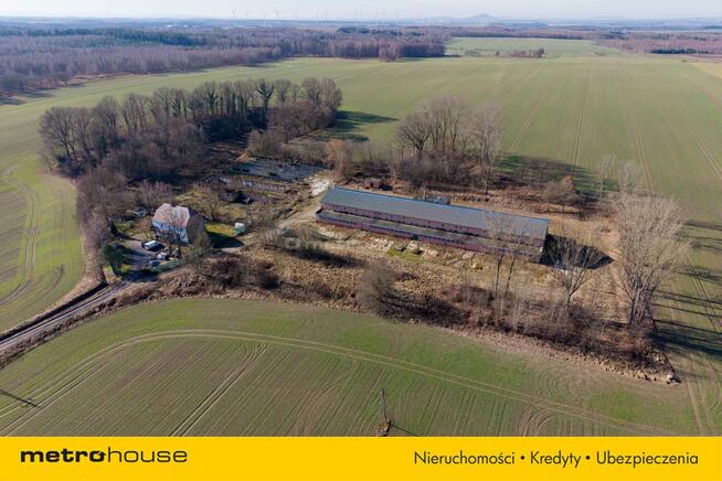 Nieruchomość inwestycyjna w Dłużynie Dolnej!