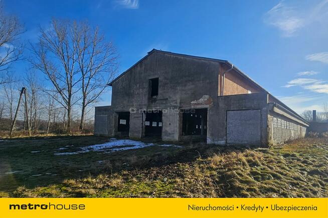 Nieruchomość inwestycyjna w Dłużynie Dolnej!
