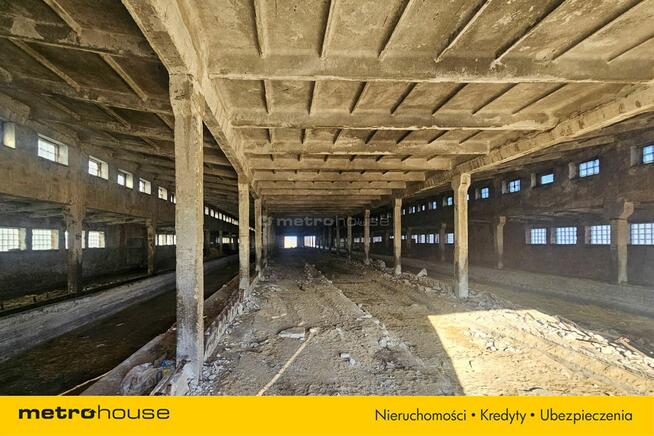 Nieruchomość inwestycyjna w Dłużynie Dolnej!