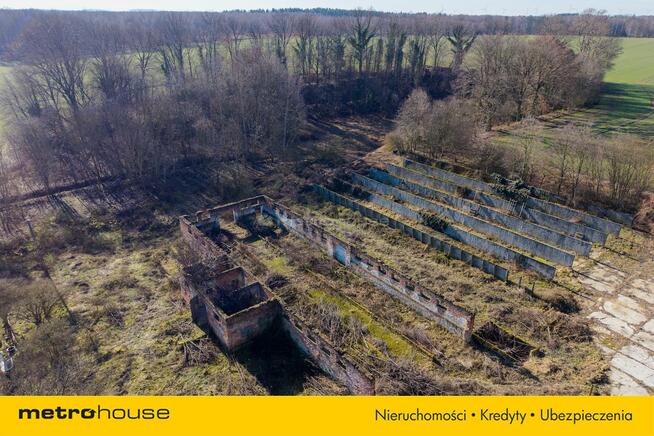 Nieruchomość inwestycyjna w Dłużynie Dolnej!